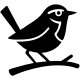 Agencia Chucao
